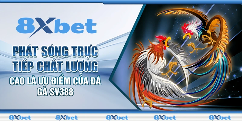 Phát sóng trực tiếp chất lượng cao là ưu điểm của Đá Gà SV388