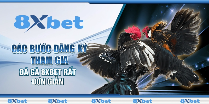 Các bước đăng ký tham gia đá gà 8XBET rất đơn giản