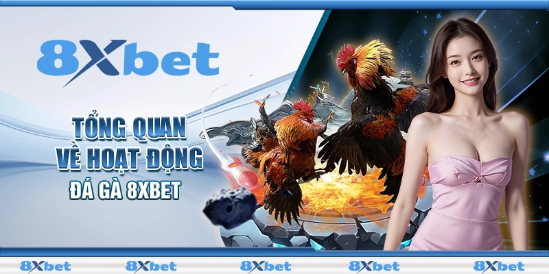 Tổng quan về hoạt động đá gà 8XBET